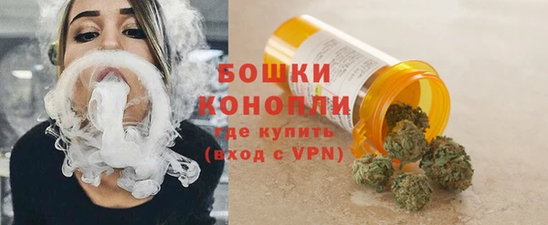 стаф Липки