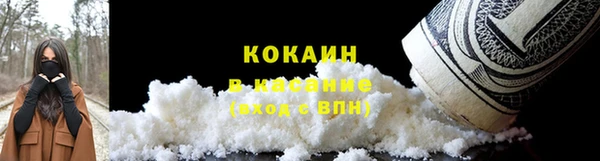 стаф Липки