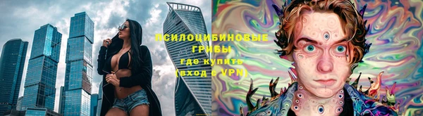 стаф Липки