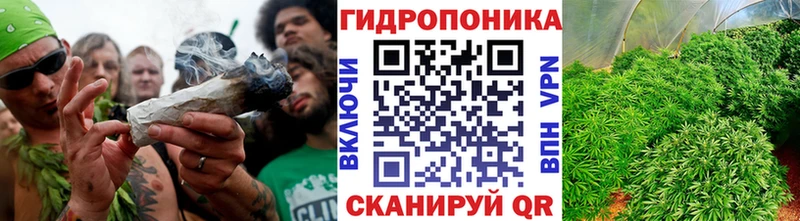 Бошки Шишки планчик  Купить закладки  Реутов 